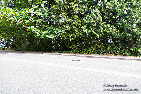 Terwilliger View 4