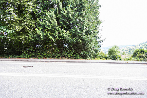 Terwilliger View 4