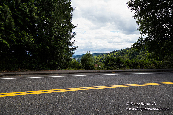 Terwilliger View 4