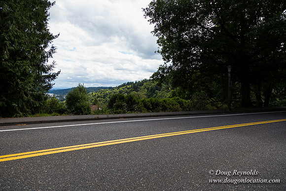 Terwilliger View 4