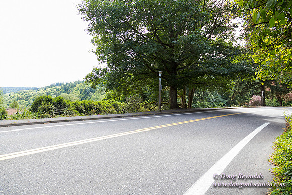 Terwilliger View 4