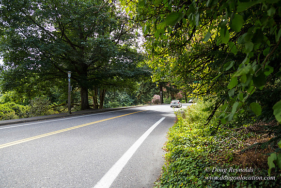 Terwilliger View 4