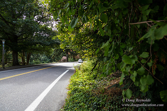 Terwilliger View 4