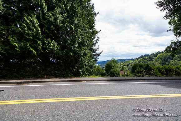 Terwilliger View 4