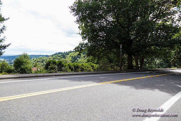 Terwilliger View 4