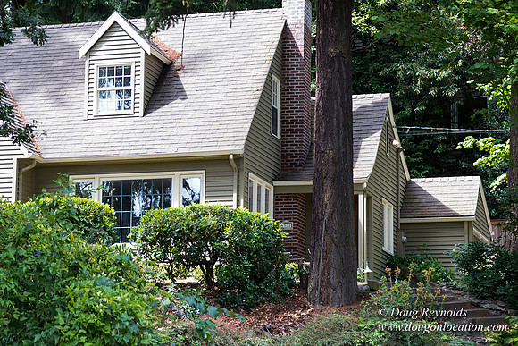 Terwilliger View 4
