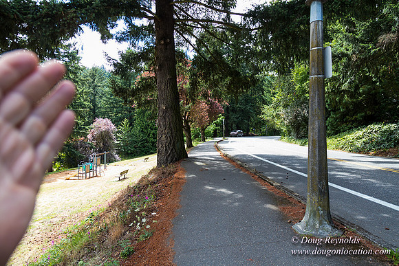 Terwilliger View 4