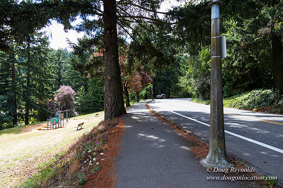 Terwilliger View 4