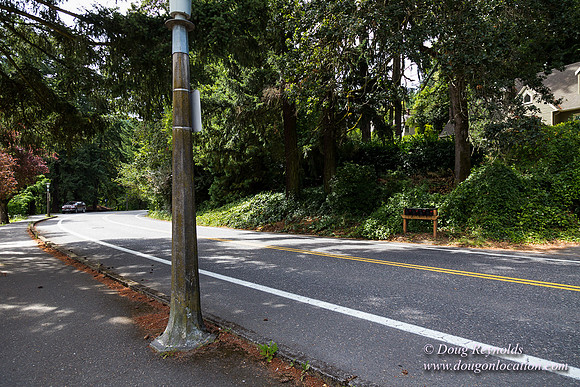 Terwilliger View 4