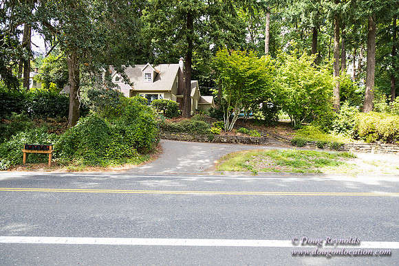 Terwilliger View 4