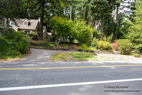 Terwilliger View 4