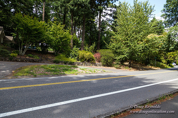 Terwilliger View 4