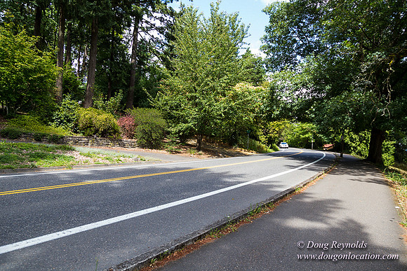 Terwilliger View 4