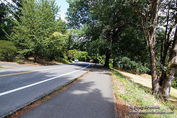Terwilliger View 4