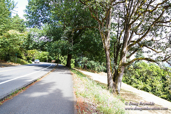 Terwilliger View 4