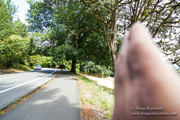 Terwilliger View 4