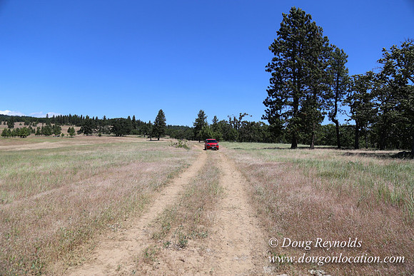 Brothers Ranch-8481