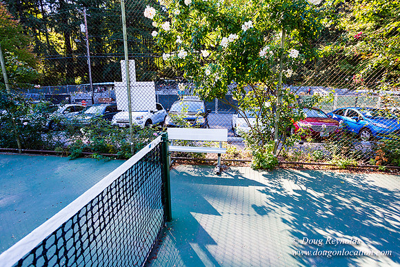 Washington Park Tennis Courts