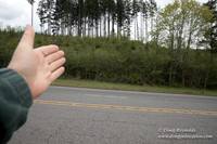 Hwy 224
