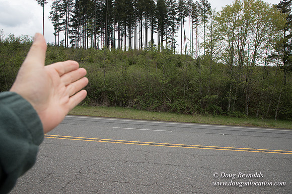 Hwy 224