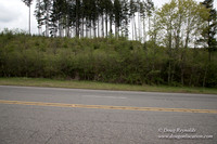 Hwy 224