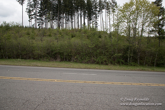 Hwy 224