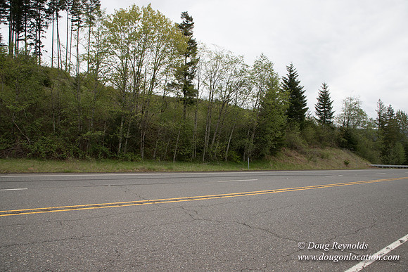 Hwy 224