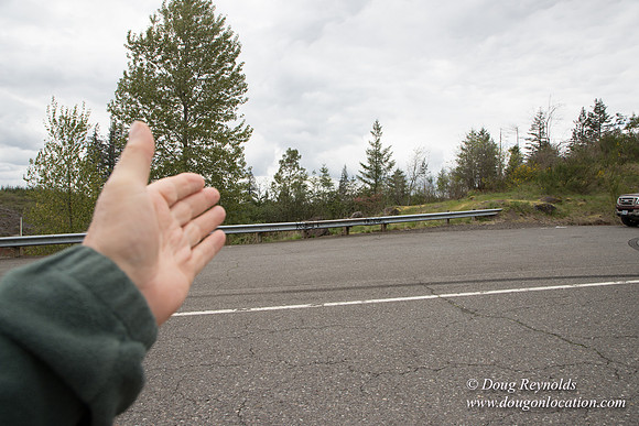 Hwy 224