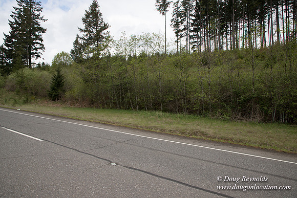 Hwy 224