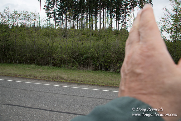 Hwy 224