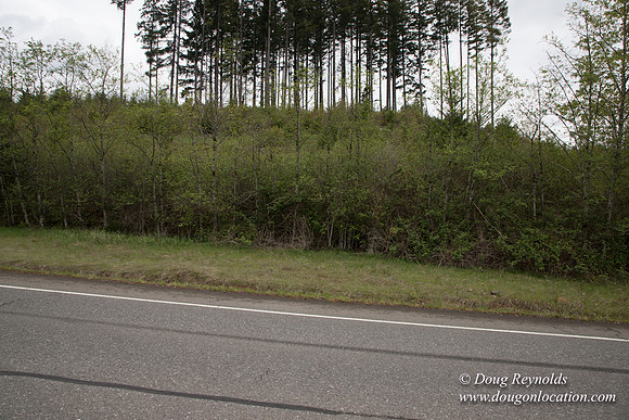 Hwy 224