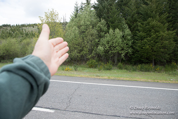 Hwy 224