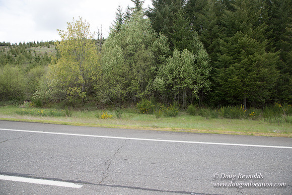 Hwy 224