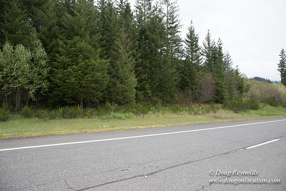 Hwy 224