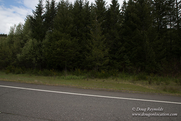 Hwy 224