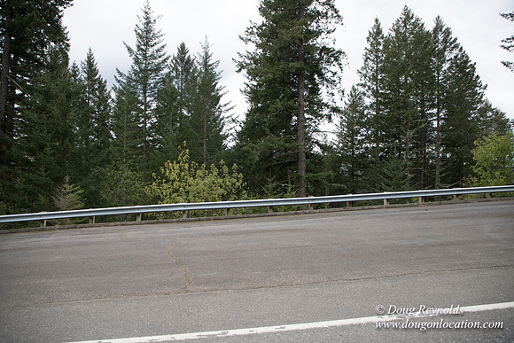 Hwy 224