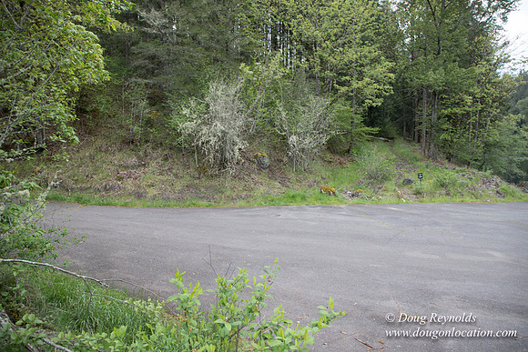 Hwy 224