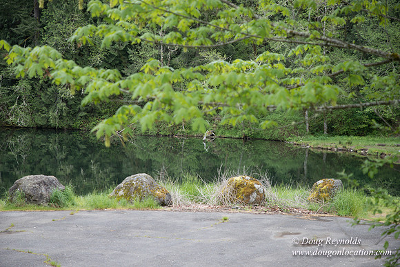 Hwy 224