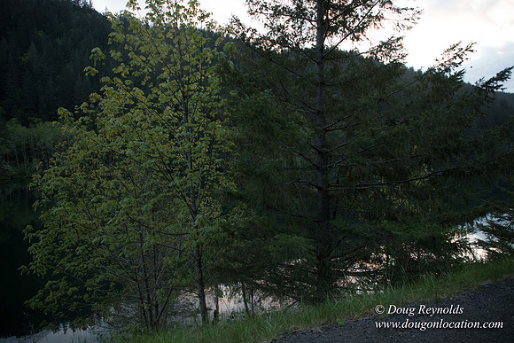 Hwy 224