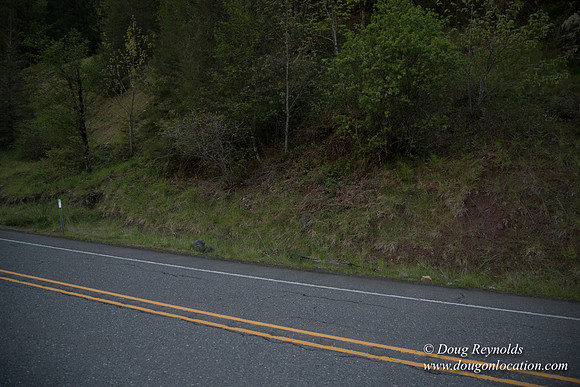 Hwy 224