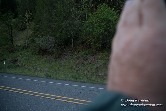 Hwy 224