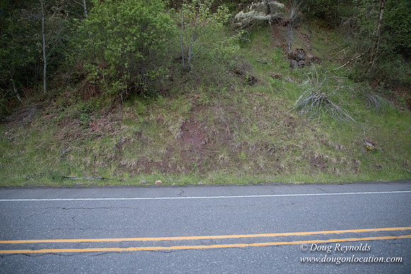 Hwy 224