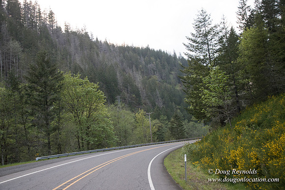 Hwy 224