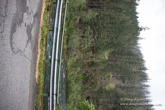 Hwy 224