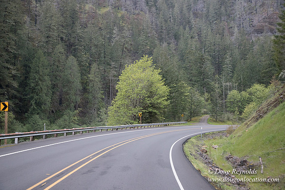 Hwy 224