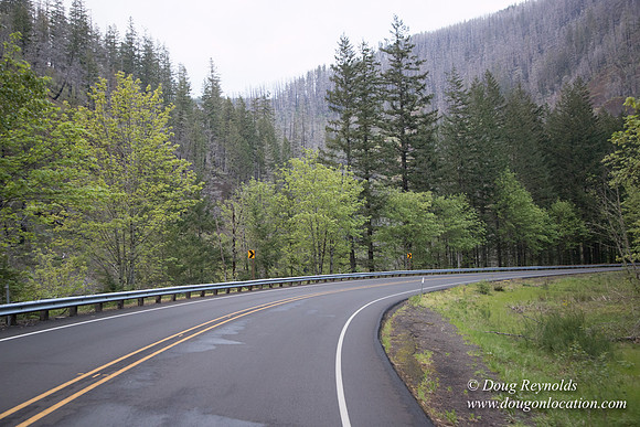 Hwy 224