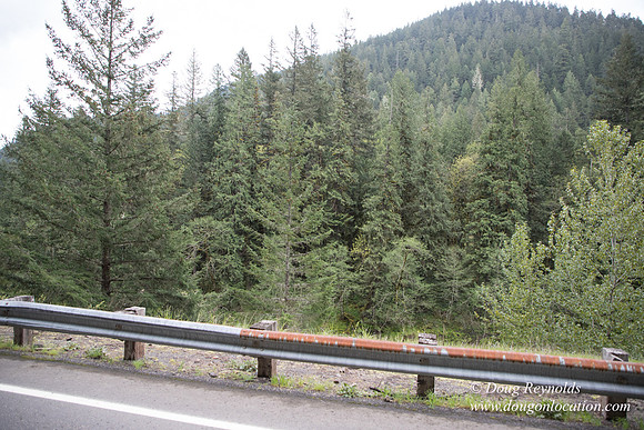 Hwy 224