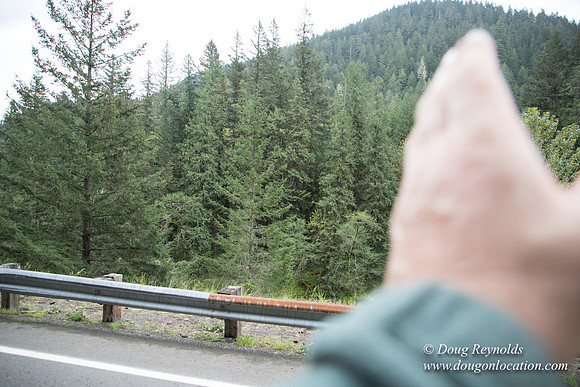 Hwy 224