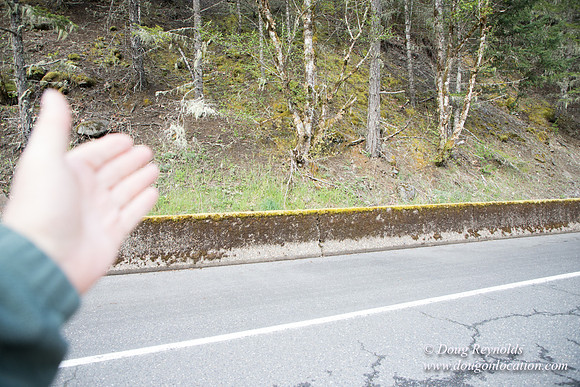 Hwy 224