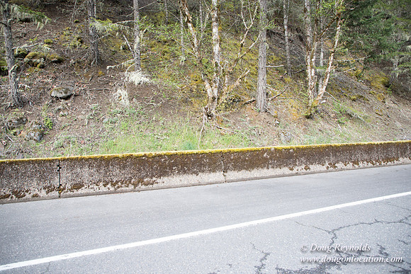 Hwy 224
